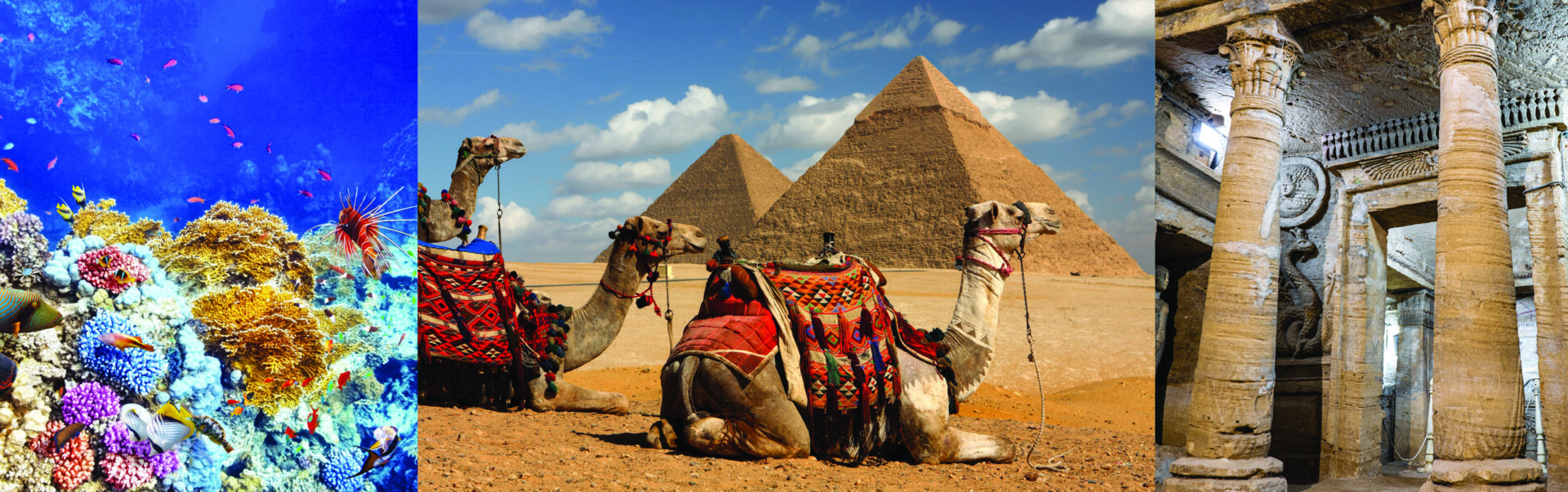 Ladies Travel Banner Egypt Tour